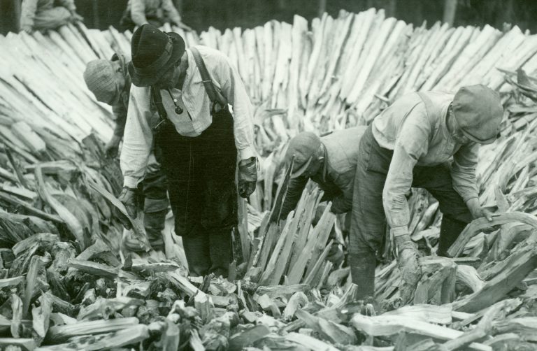 Miehiä latomassa tervahautaa.