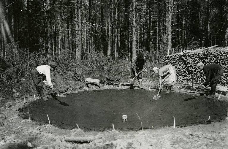 Henkilöitä tiivistämässä tervahaudan pohjaa lapiolla tasoittaen.