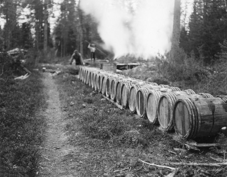 Tervatynnyreitä pitkässä rivissä.