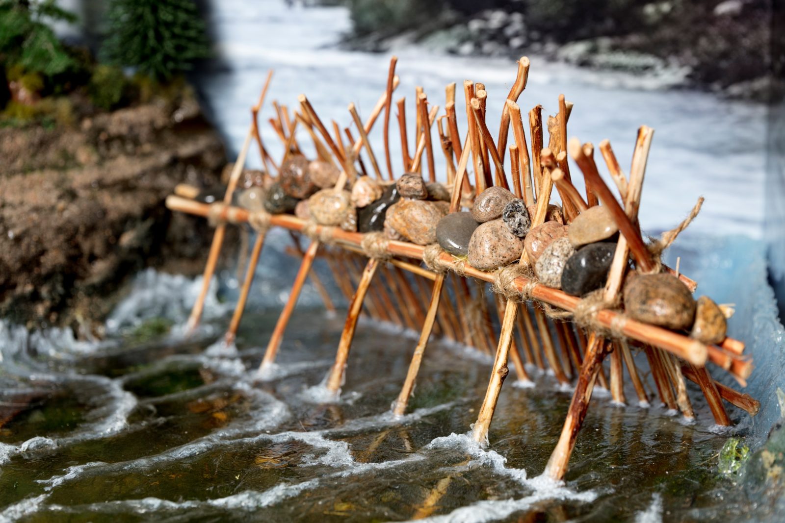 Puutikuista koottu pato, päällä kiviä.